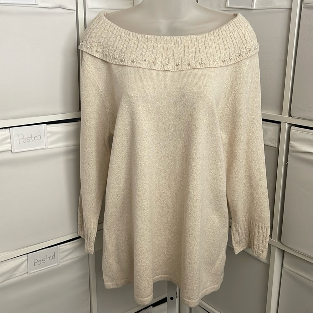 NWT Briggs cream sweater 🤩